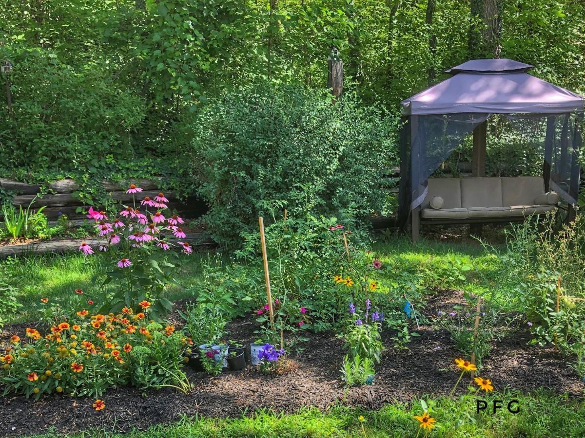 Cozy Cottage Retreat Lambton Shores Exterior foto